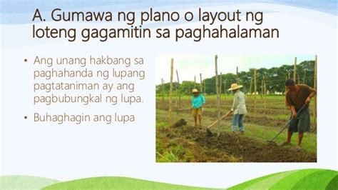 taniman drawing|EPP 5 AGRI .